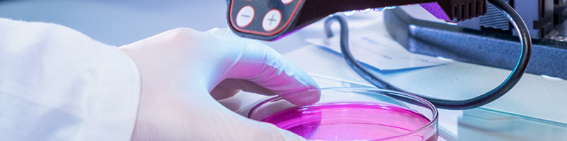 Servicio Científico de Soluciones Analíticas para Medioambiente y Criminalística