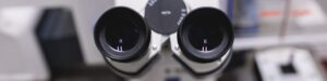 Servicio Científico de Investigación en Microscopía Avanzada Confocal y Electrónica