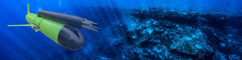 Servicio Científico del Servicio Integral de Tecnología Marina