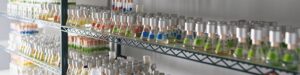 Servicio Científico de Biobanco de Algas y Cianobacterias