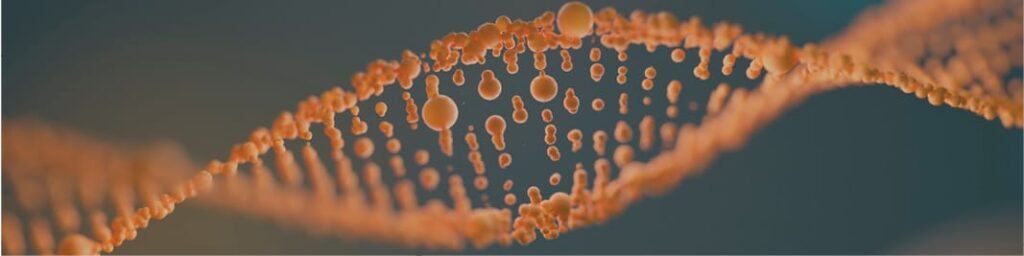 Servicio Científico de Laboratorio de Biodiversidad Molecular