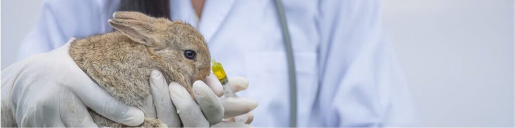 Servicio de animalario y bienestar animal